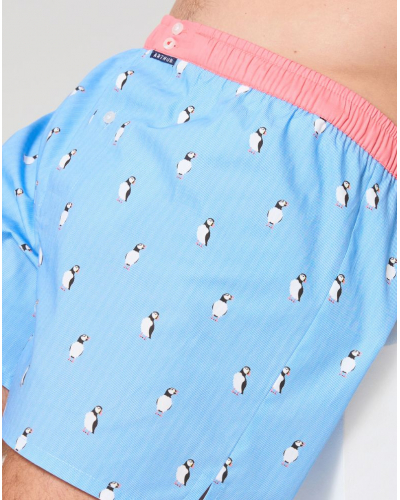 Caleçon à suspensoir 100% coton Arthur 1205 (Multicolore)