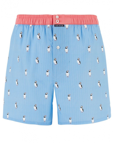 Jockstrap 100% cotton Arthur 1205 (Multicolore)