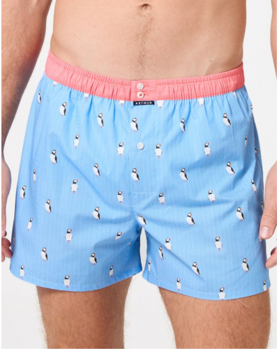 Caleçon à suspensoir 100% coton Arthur 1205 (Multicolore)