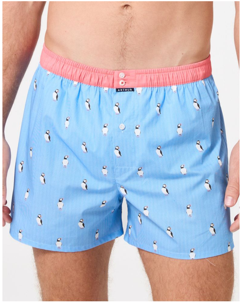 Jockstrap 100% cotton Arthur 1205 (Multicolore)