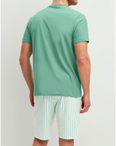 Short pyjama man 100% Organic Cotton Calida Relax Easter (Crème de Menthe)