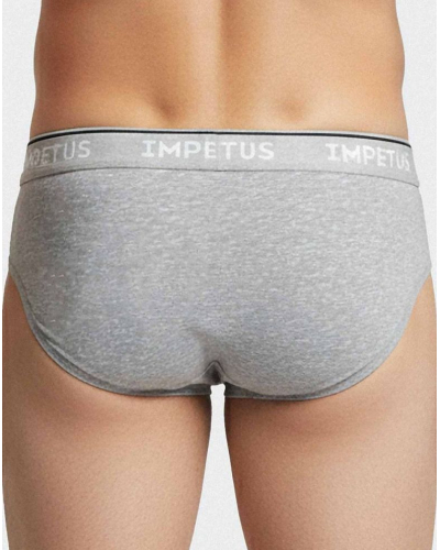 Calzoncillo Impetus Cotton Bio (Gris)