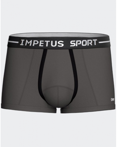 Boxer Impetus Sport (Gris)