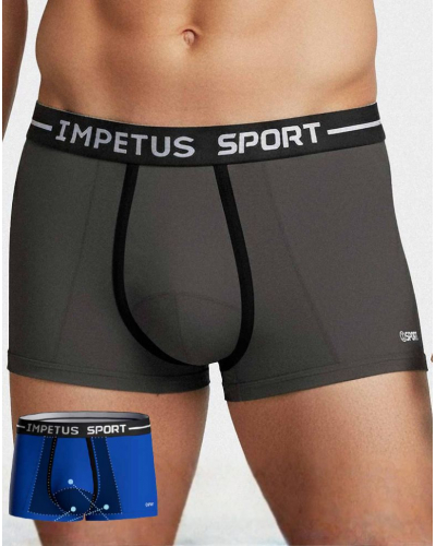 Boxer Impetus Sport (Gris)