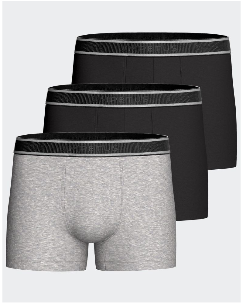 Lot de 3 bóxers en coton Impetus Cotton Stretch Packs (P01)