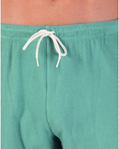 Pyjama court 100% coton Athena Waffle (Bleu lavande/Vert pin)