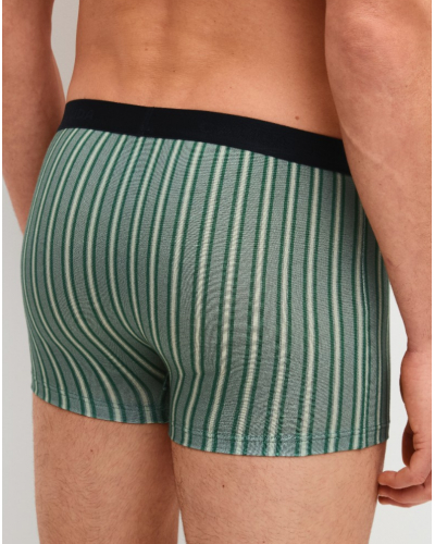 Boxer algodón Calida Natural Benefit Agave Green (Paquete de 3)