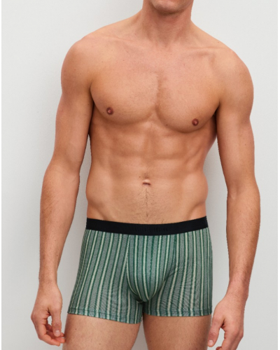 Boxer algodón Calida Natural Benefit Agave Green (Paquete de 3)