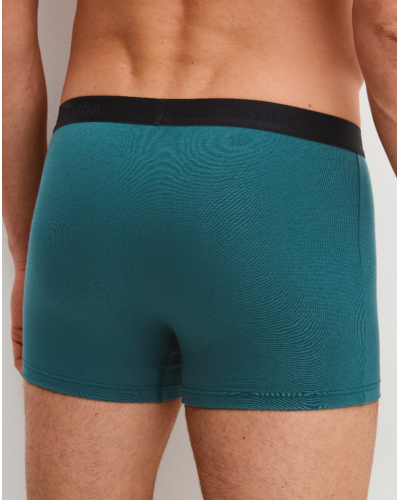 Cotton boxer Calida Natural Benefit Dark Petrol (Pack of 3)