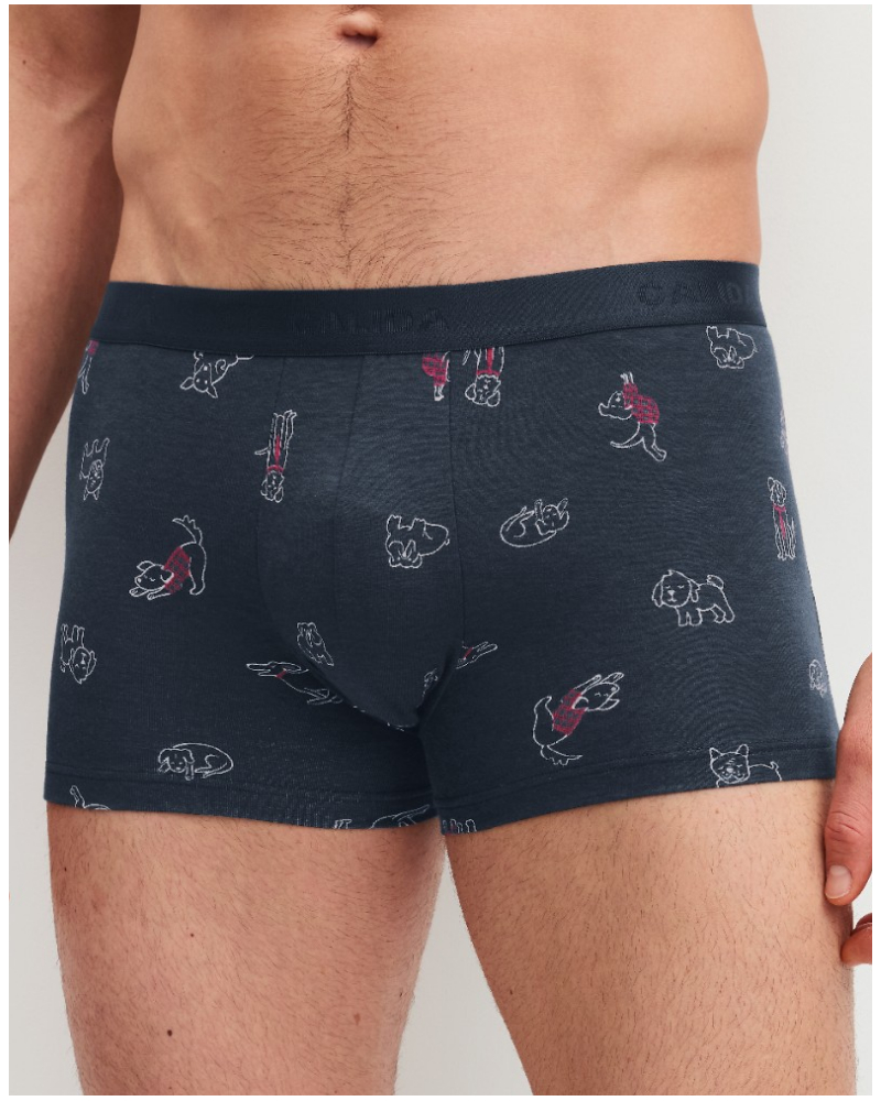 Cotton boxer Calida Family & Friends (Ink Blue)