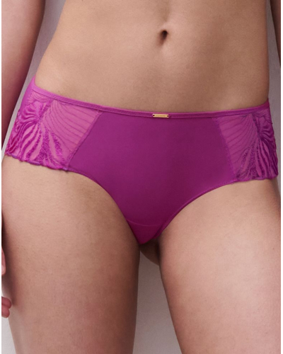 Shorty Chantelle Legend (Fancy Orchid)