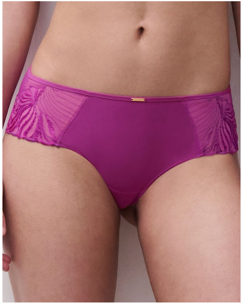 Shorty Chantelle Legend (Fancy Orchid)