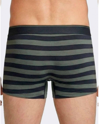 Pack of 2 Cotton Eden Park Shorts H71 (GN004)