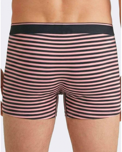 Pack of 2 Cotton Eden Park Shorts H72 (PK030)