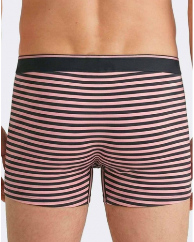 Pack of 3 Cotton Eden Park Shorts H72 (PK030)