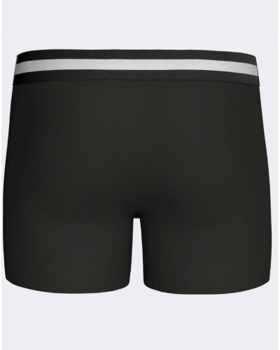Pack of 2 Cotton shorty Eden Park H75 (BK020)