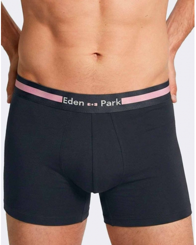 Pack of 2 Cotton Eden Park Shorts H80 (GN004)