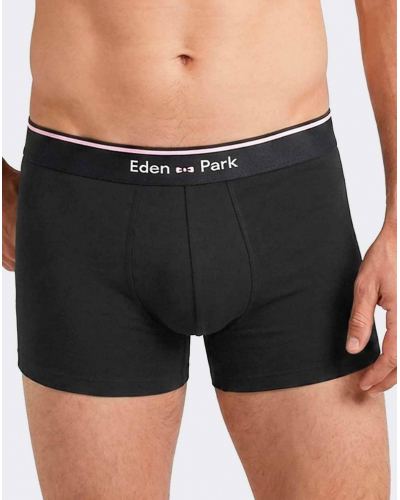 Pack of 2 Cotton Eden Park Shorts I08 (GN003)