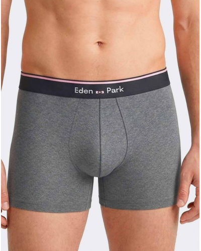 Pack of 2 Cotton Eden Park Shorts I08 (MX014)