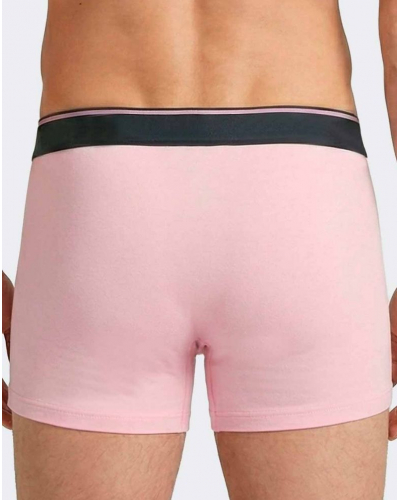 Pack of 2 Cotton Eden Park Shorts I08 (PK030)