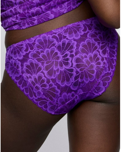 Brazilian briefs Prima Donna Twist Mocuto (Italian Acai)