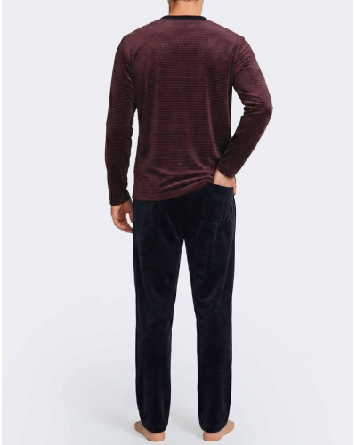 Long pyjama Cotton Impetus Stripen Q17 (Bordeaux/Navy Blue)