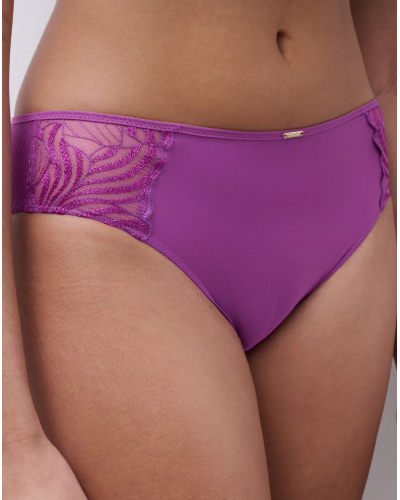 Knickers Chantelle Legend (Fancy Orchid)