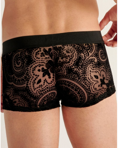 Shorty HOM Rhapsody (Negro)