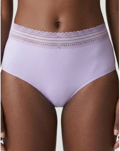 Shorty Antigel Simply Graphic (Parme)