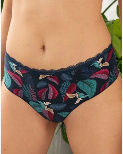 Shorty Antigel Tropiques en Hiver (Jungle d'Hiver)