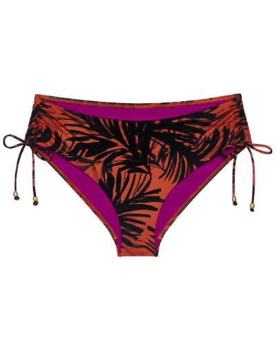 Slip de bain midi Triumph Summer Palm (Brown Dark Comb)