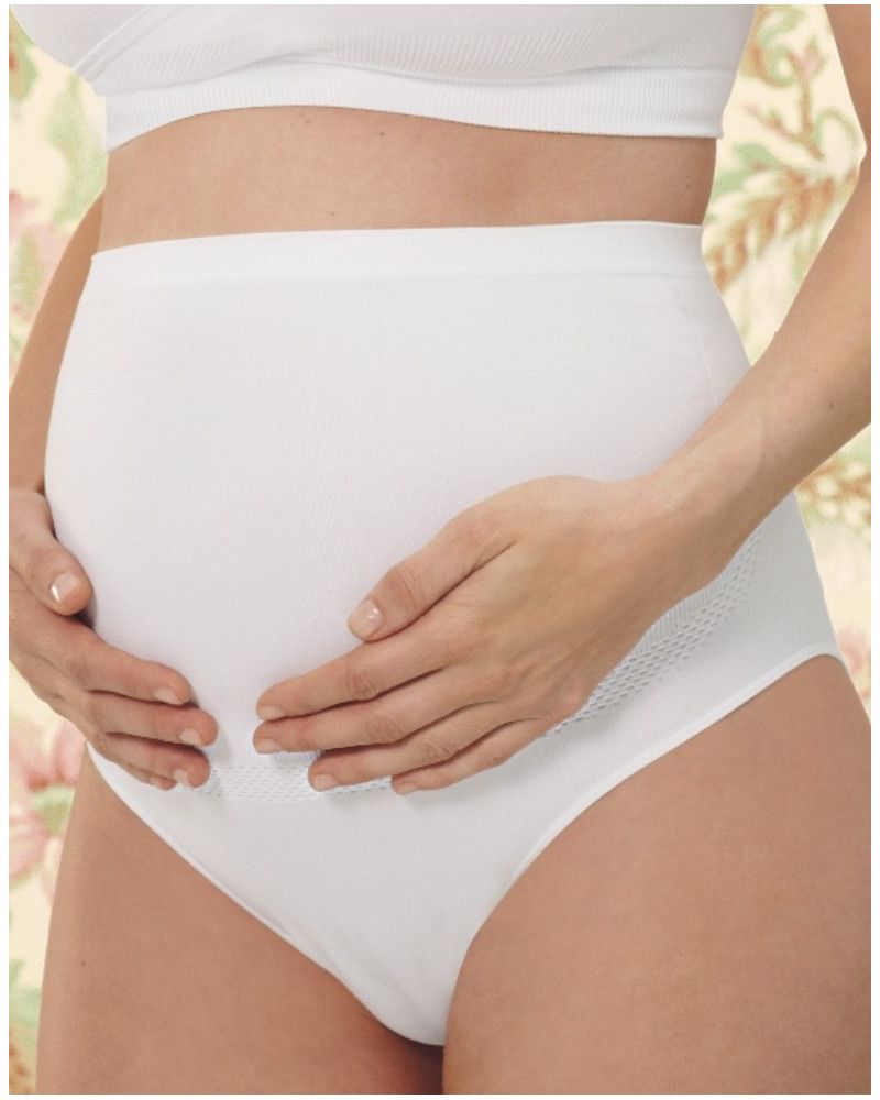Anita Maternity Briefs