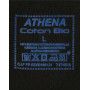 Paquete de 2 camisetas Athena con cuello en V algodón orgánico (Negro)