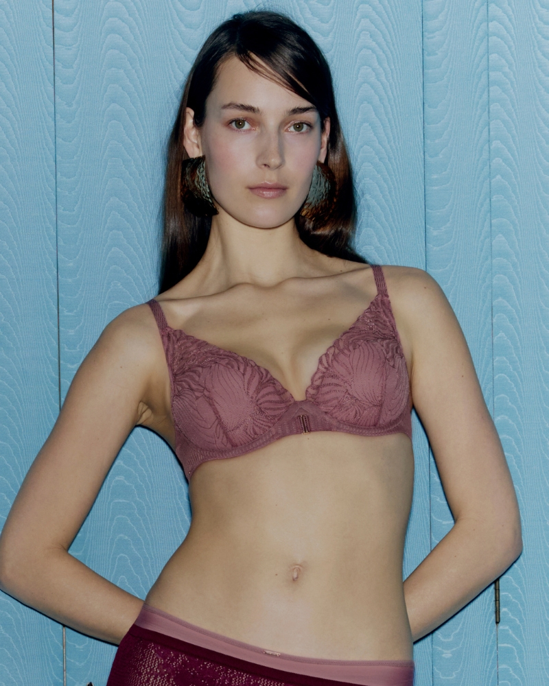 Legend (Rose des Bois)