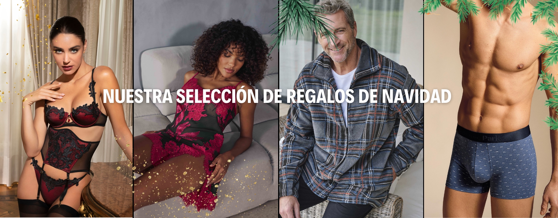 noel Slide background