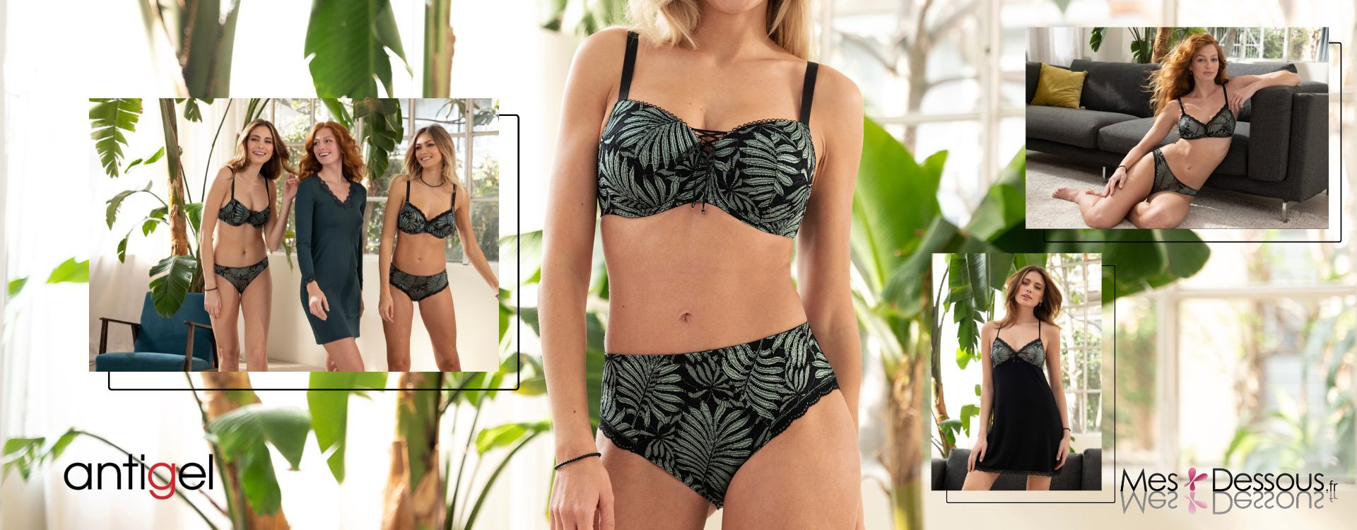 La collection  Jungle du Soir : La Nature Sauvage à l’Honneur