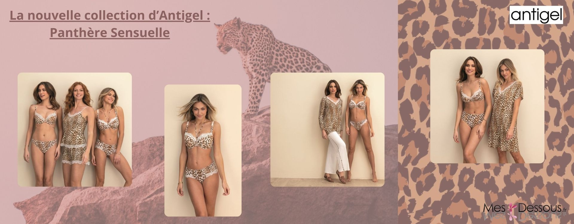 Découvrez la Nouvelle Collection d'Antigel : Panthère Sensuelle
