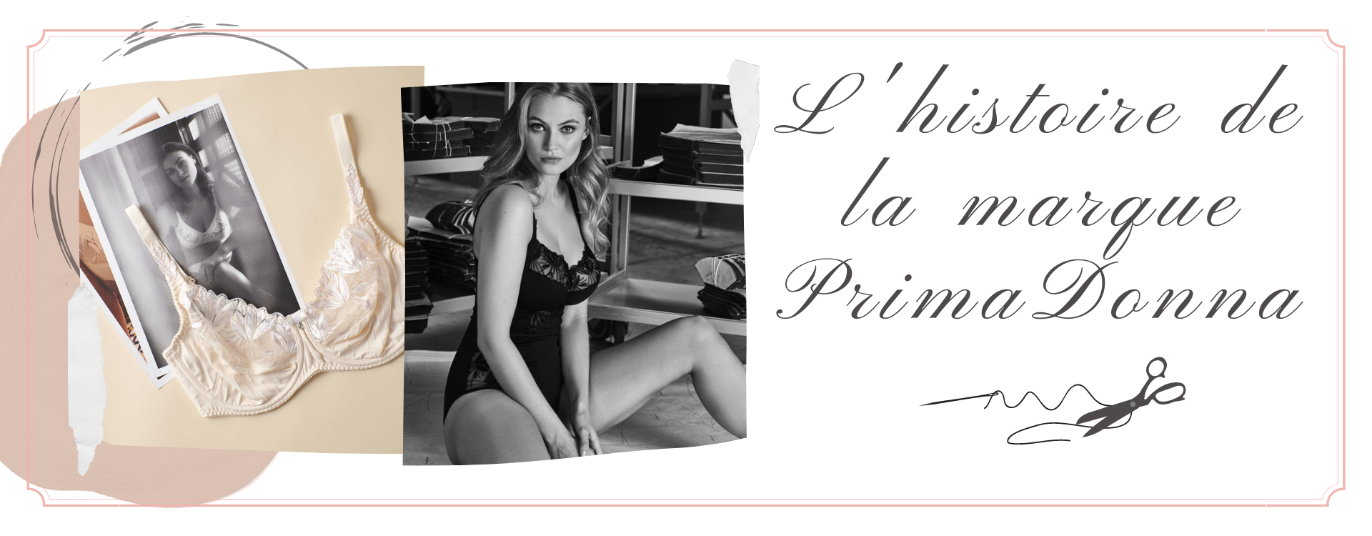 L'histoire de la marque spécialisée confort et grandes tailles :  PrimaDonna