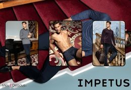 Nouveautés Impetus : Confort et Raffinement
