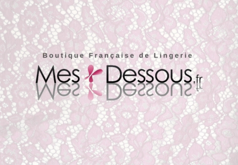 Quel est le meilleur site de lingerie ?