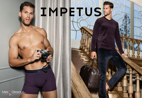 Nouveautés Impetus : Confort et Raffinement